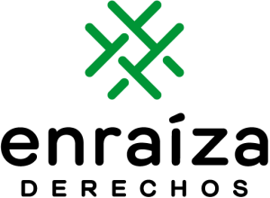 Logo Enraíza Derechos Humanos