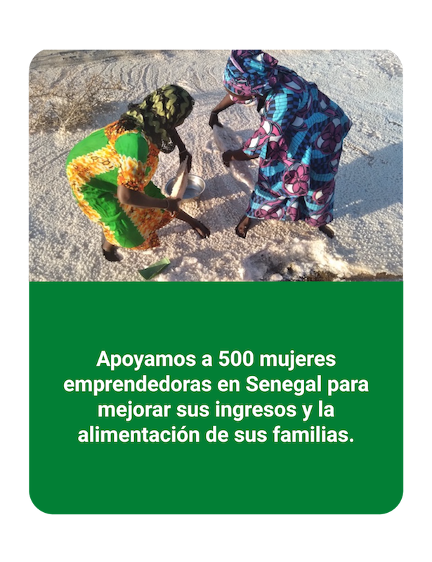 Proyecto Senegal #STOPCrisisAlimentaria