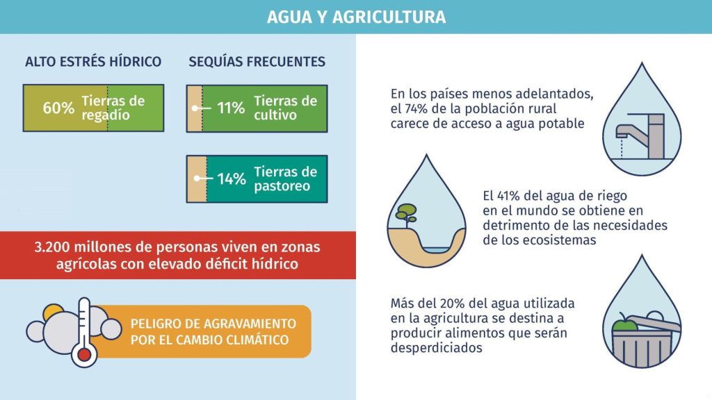 Infografia Agua y Agricultura