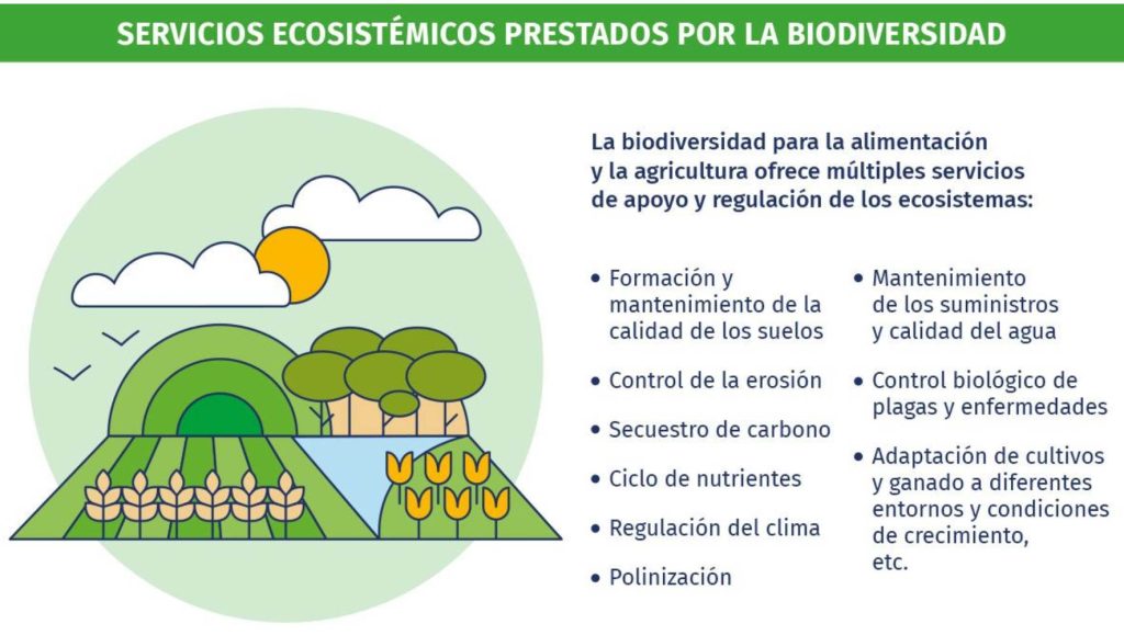 Lista de servicios ecosistémicos prestados por la biodiversidad