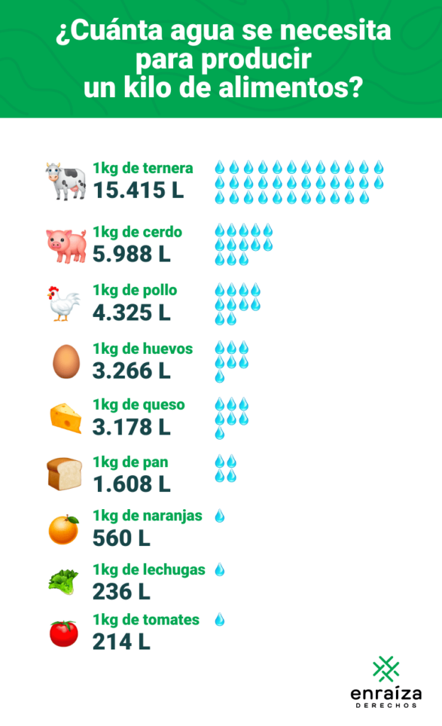 Huella hídrica de distintos alimentos