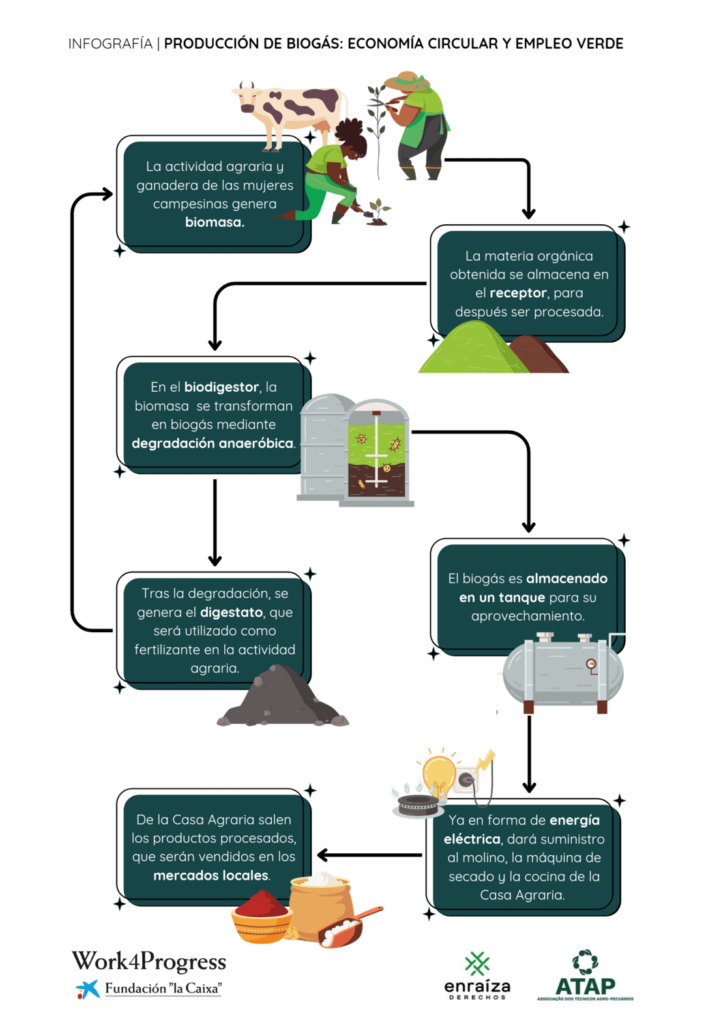 Infografía de cómo funciona una planta de biogás.