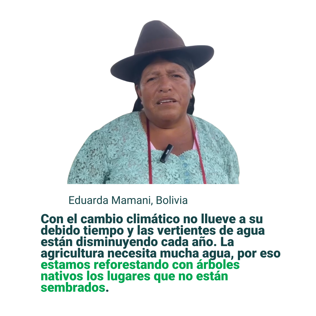 Testimonio_ED_Eduarda Mamani_Bolivia