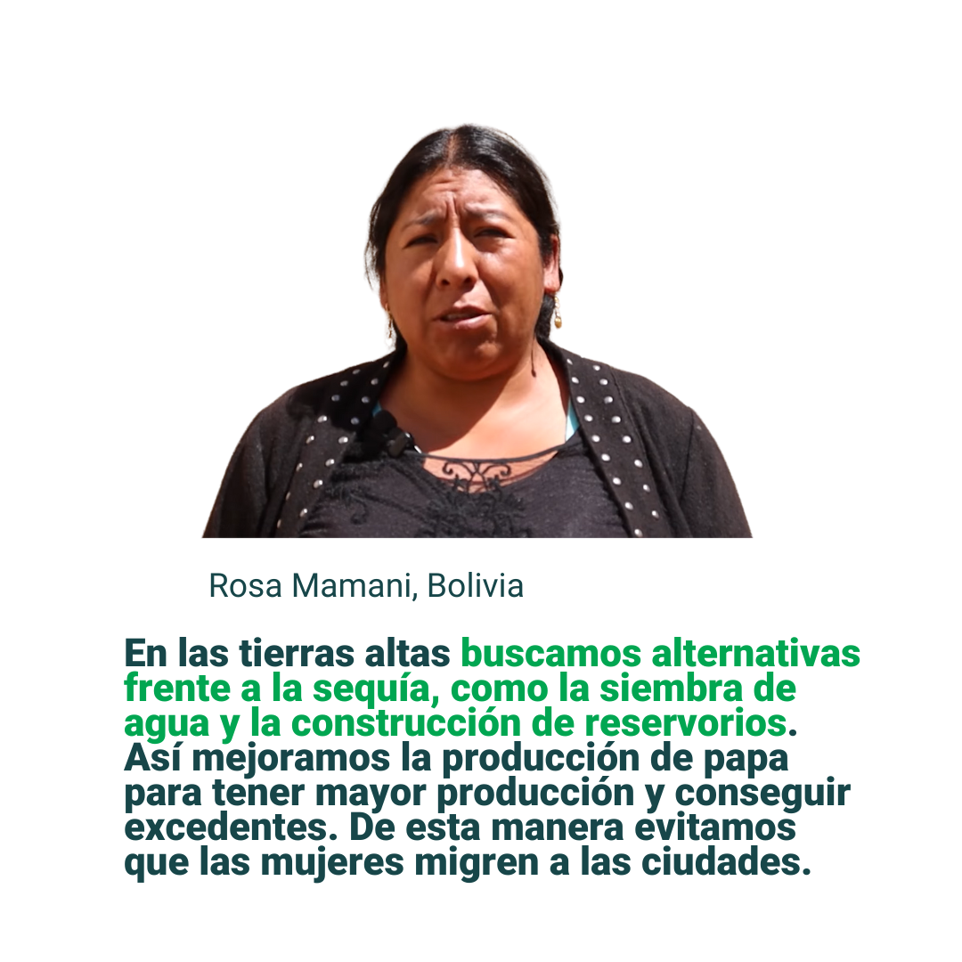 Testimonio_ED_Rosa Mamani_Bolivia