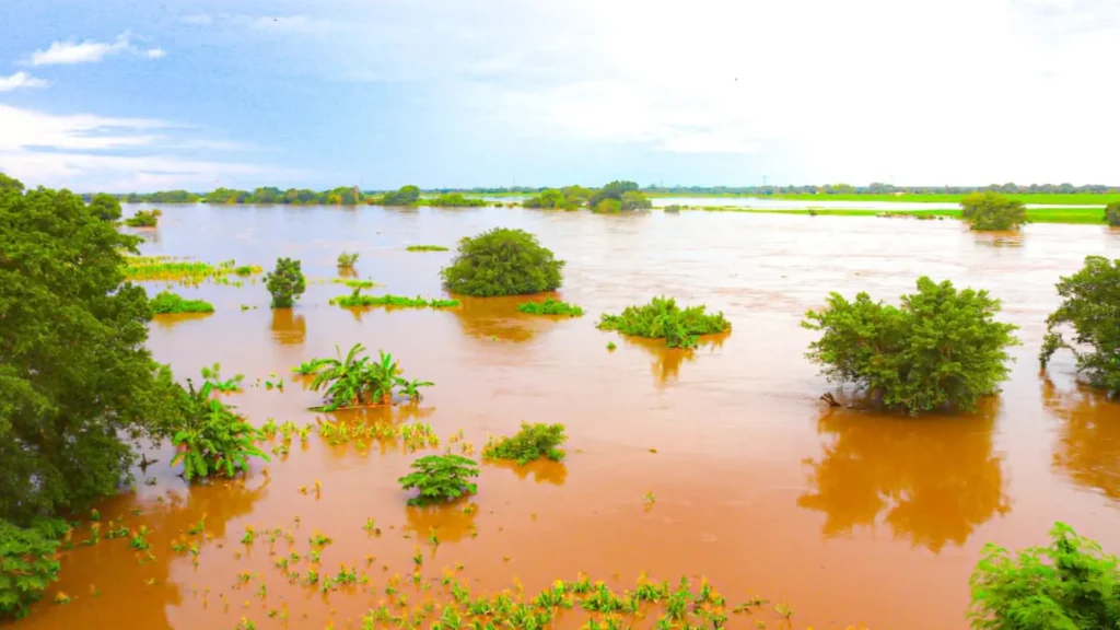 Inundaciones de Mozambique